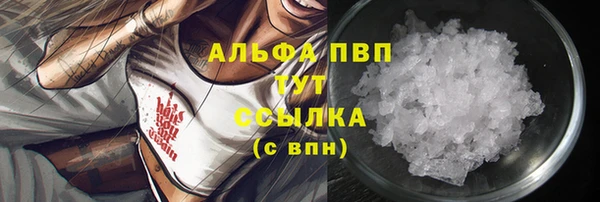 шишки Арсеньев