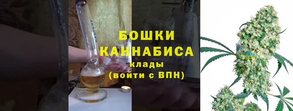 шишки Арсеньев