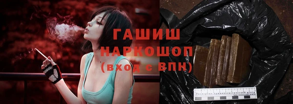 шишки Арсеньев