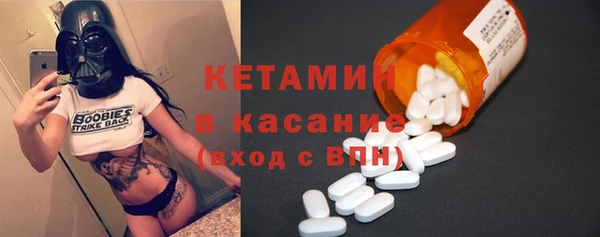 шишки Арсеньев