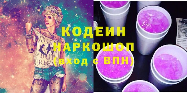 шишки Арсеньев