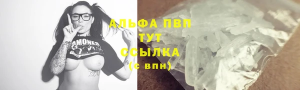 спиды Аркадак