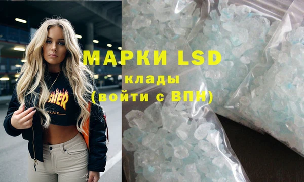 спиды Аркадак