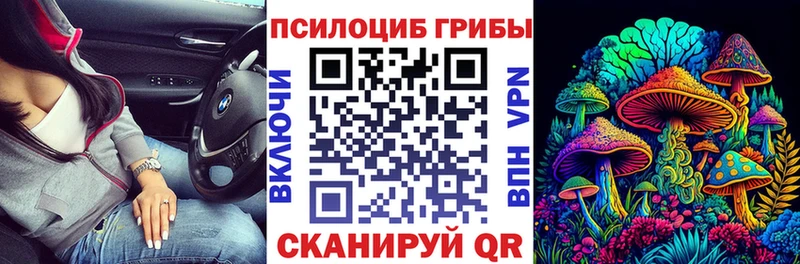 Галлюциногенные грибы Magic Shrooms  мега ССЫЛКА  shop какой сайт  Шатура 