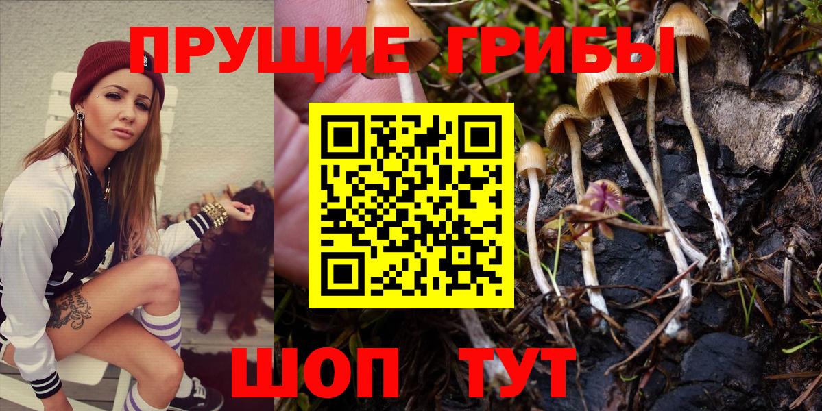Галлюциногенные грибы прущие грибы Шатура