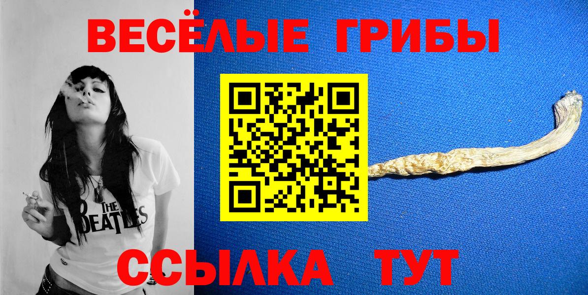 Галлюциногенные грибы мицелий  Вход с VPN  где купить наркотик  Шатура 